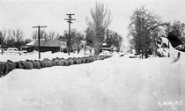 A black and white picture of sheep shuffling down a snowy Main Street in Big Pine in 1912.